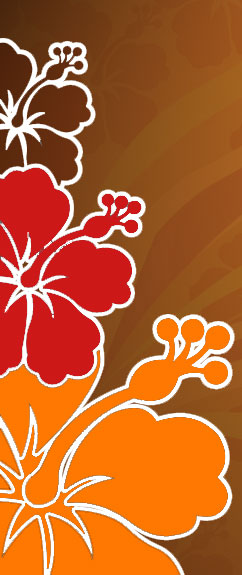 Chinese Hibiscus - The National Flower of Malaysia